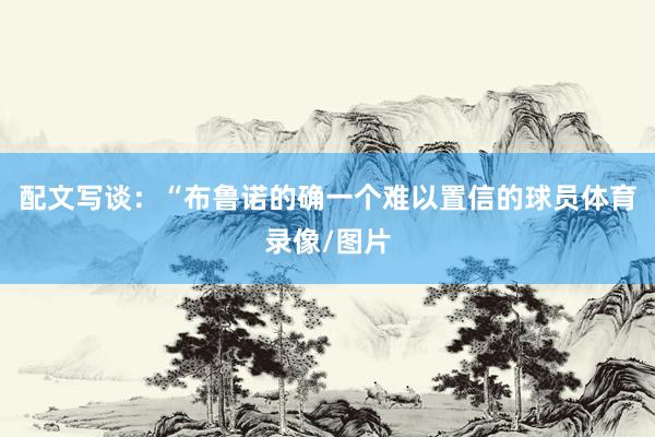 配文写谈：“布鲁诺的确一个难以置信的球员体育录像/图片