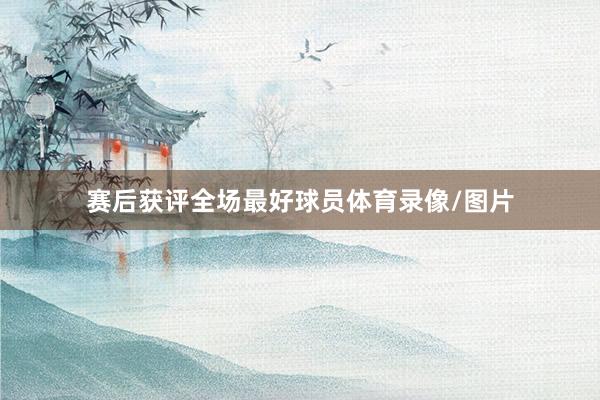 赛后获评全场最好球员体育录像/图片