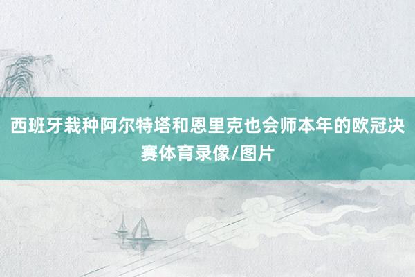 西班牙栽种阿尔特塔和恩里克也会师本年的欧冠决赛体育录像/图片