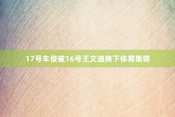 17号车俊被16号王文迪换下体育集锦