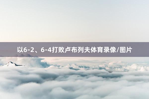 以6-2、6-4打败卢布列夫体育录像/图片