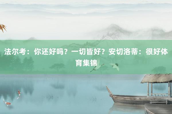 法尔考：你还好吗？一切皆好？安切洛蒂：很好体育集锦