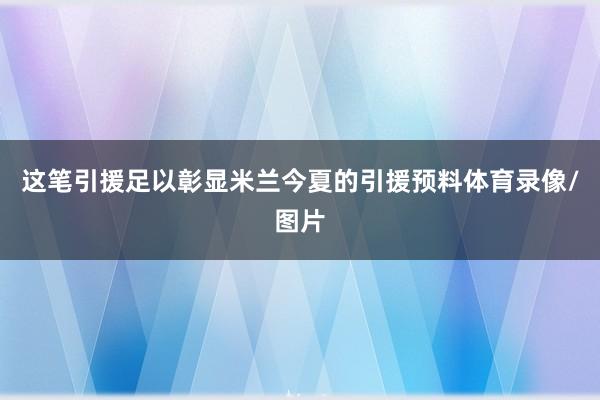 这笔引援足以彰显米兰今夏的引援预料体育录像/图片